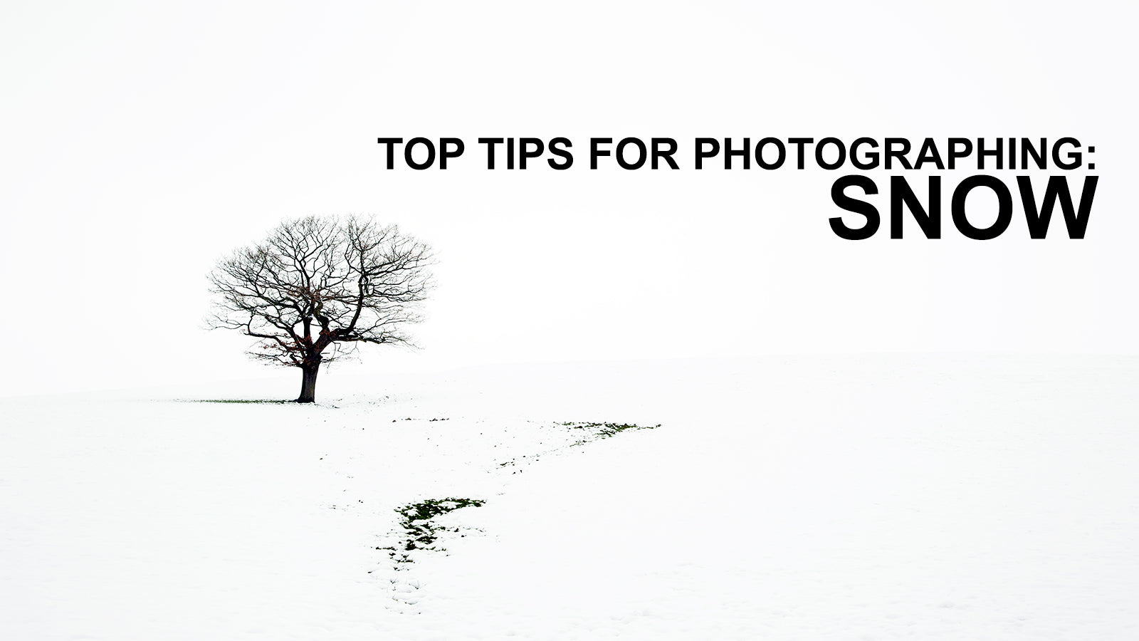 Top Tips For Photographing Snow Scenes Walking Photographer 