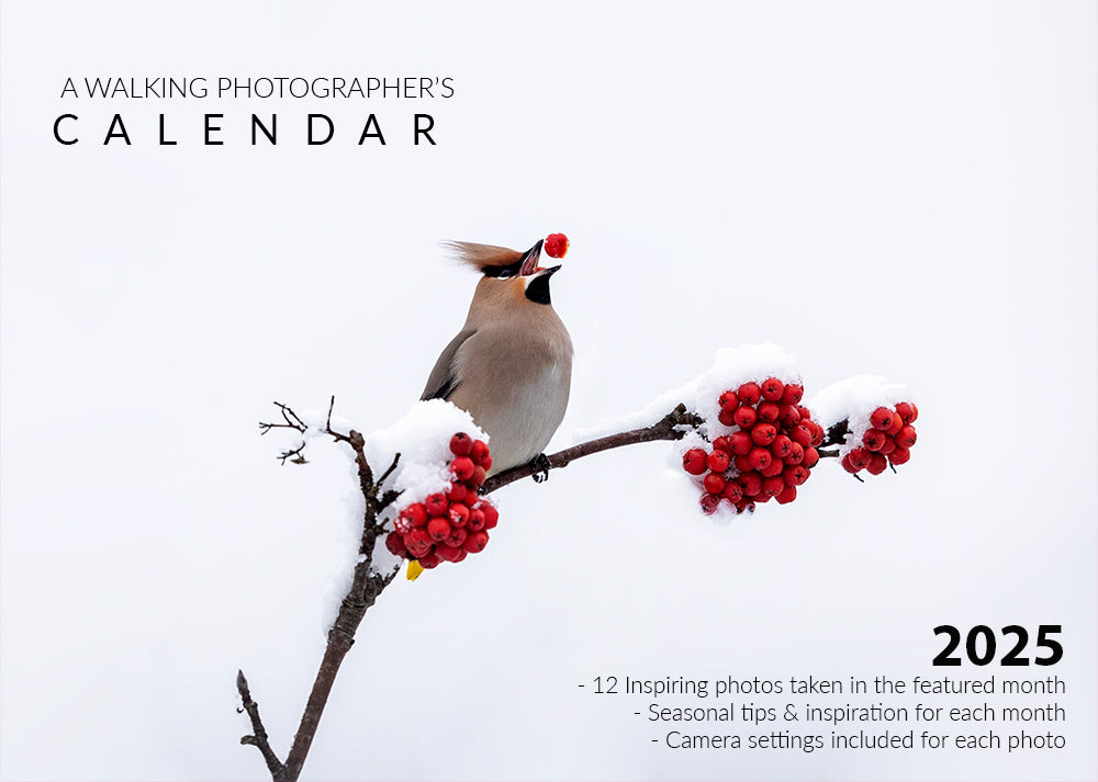 a-walking-photographer-s-calendar-2025