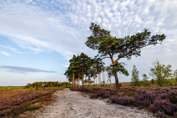 August of Fresh Air: Photography Tips, Inspiration & Ideas for August
