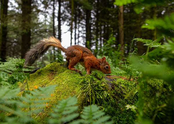 Stepping Into September: Photography Tips & Inspiration