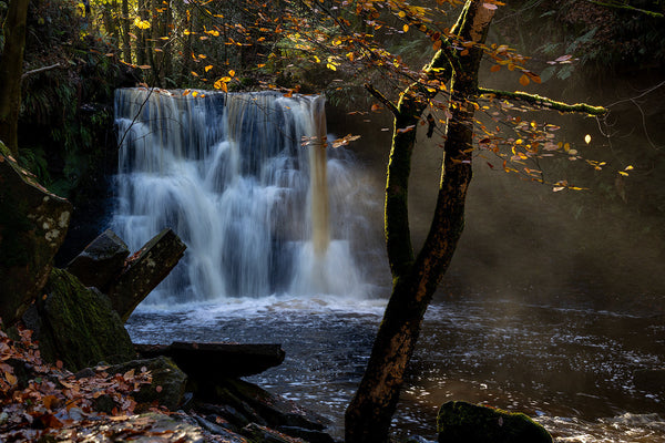 October Outdoors: Photography Themes & Inspiration