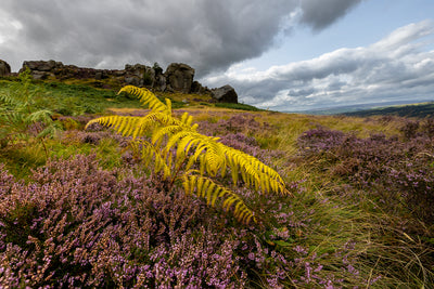 Photography in September