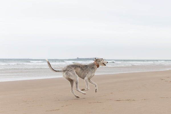 Photography Tips, July Noted: Tips, Inspiration & Ideas for July