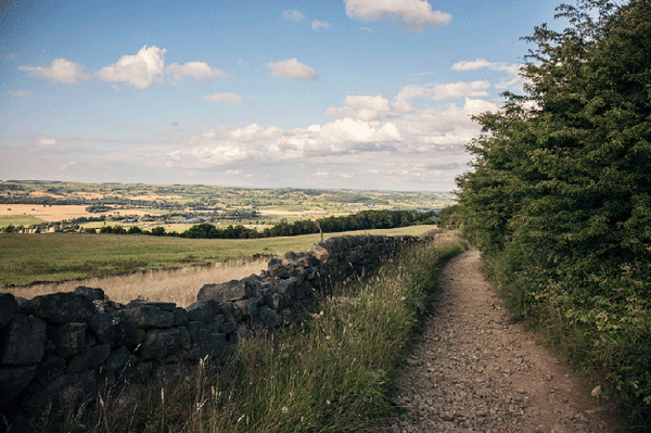 Summer’s Evening Photo Walk on the Chevin