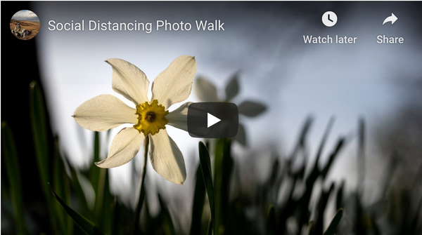 Easy Ways to Waste Hours in Isolation With a Camera Part 3: Take a Walk